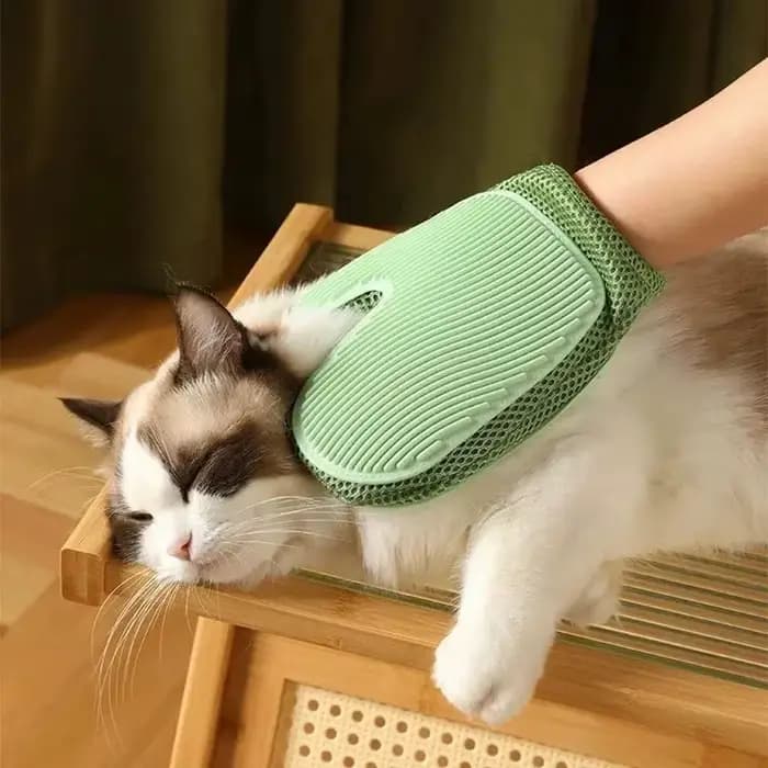 1 pièce Gant de toilettage pour chat