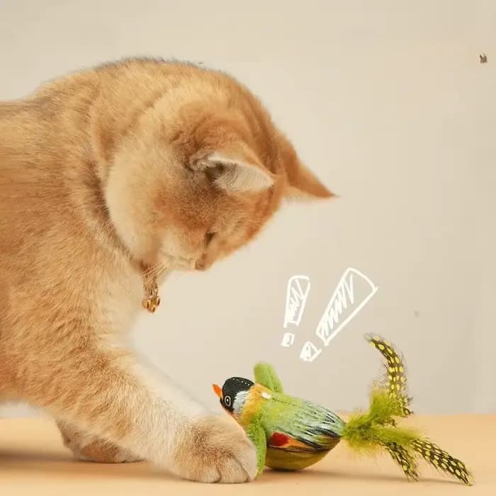Jouet interactif d'intérieur pour chat