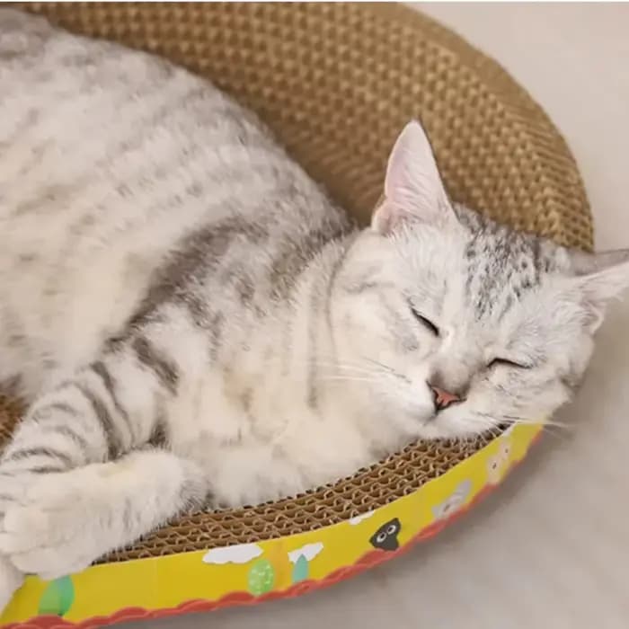 Griffoir pour chat, protection des meubles