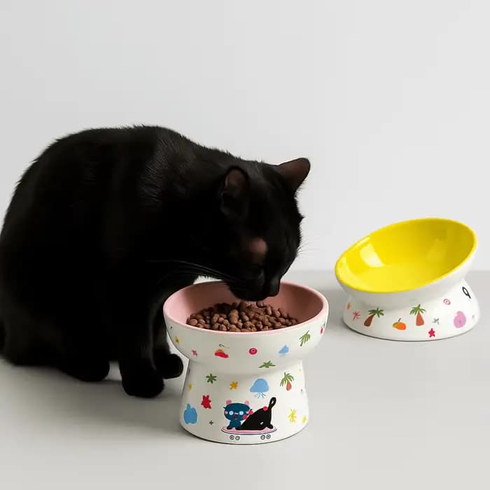 Bol en céramique pour chat