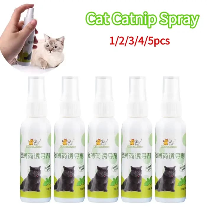 Spray d'herbe à chat pour chat