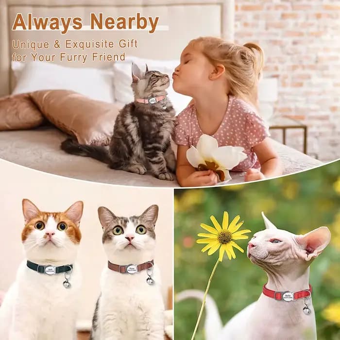 Collier de chat personnalisé en cuir PU