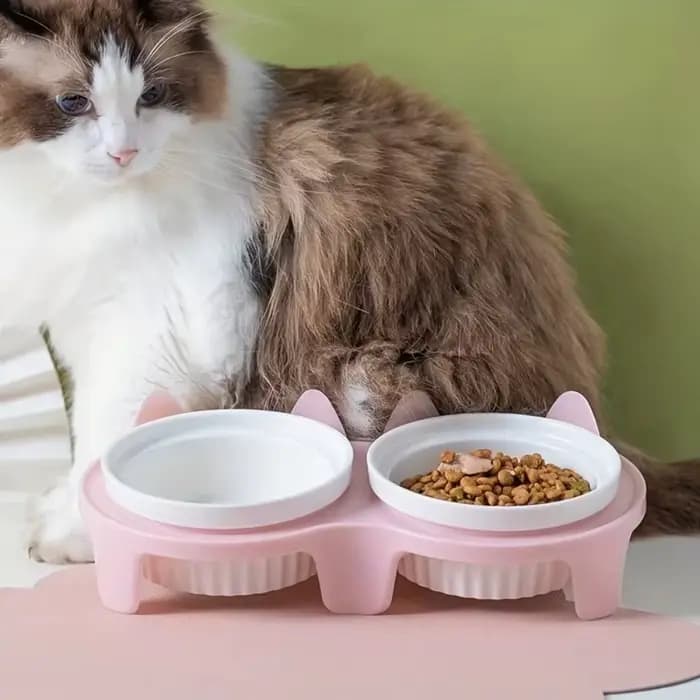 Bol créatif coloré en céramique pour chat