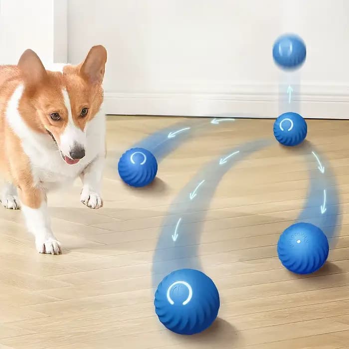 Balle de jouet pour animaux de compagnie