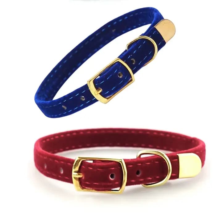 Collier de sécurité pour chat