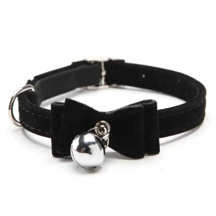 Collier élastique de sécurité pour chat