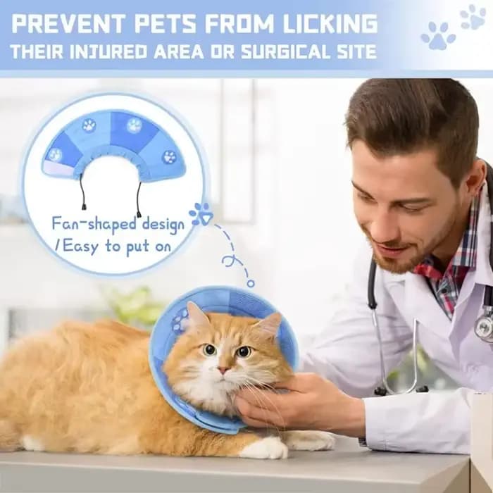 Collier conique réglable pour chat