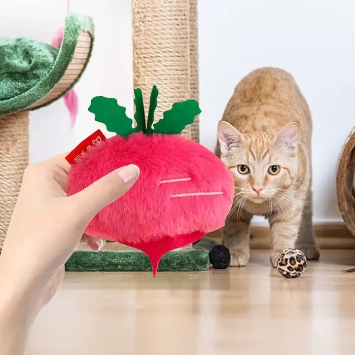 Jouet en peluche d'herbe à chat