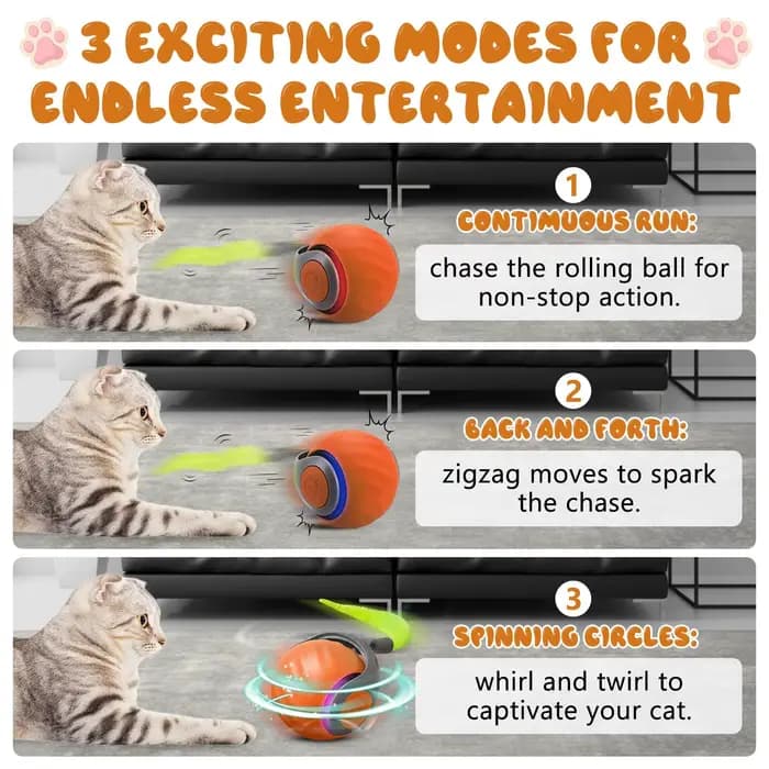 Nouveau jouet pour chat Speedy Tail 2.0