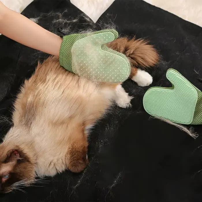 Gant de toilettage pour animaux de compagnie