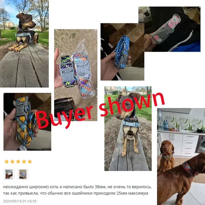 Collier réfléchissant pour chien et chat