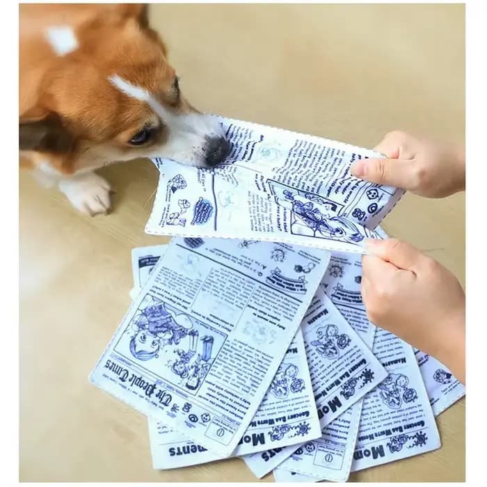 Jouets pour chiens en papier résistant aux morsures