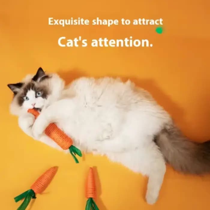 Bâton à mâcher amusant pour chat avec son