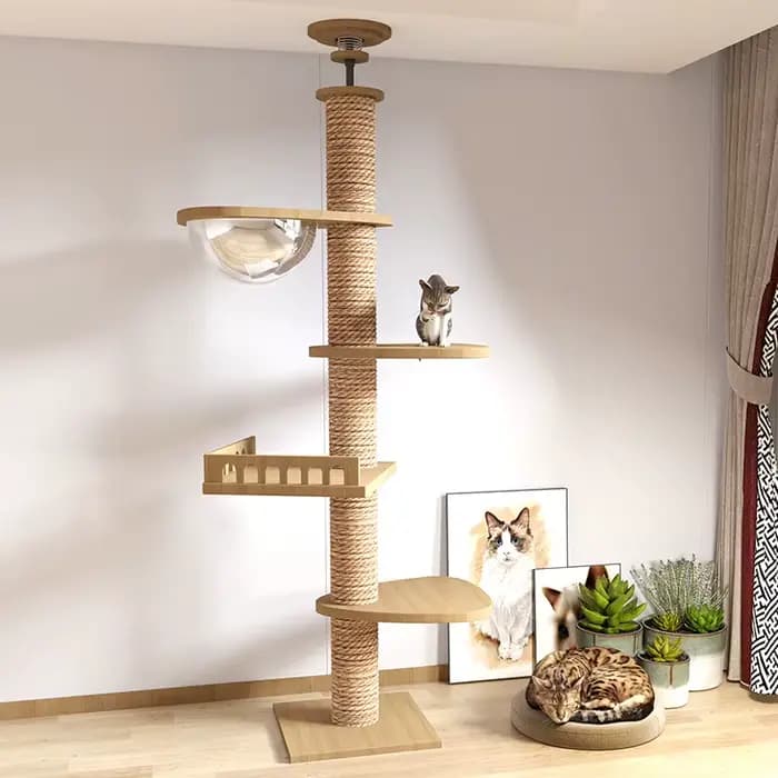 Arbre à chat de haute qualité en bois massif