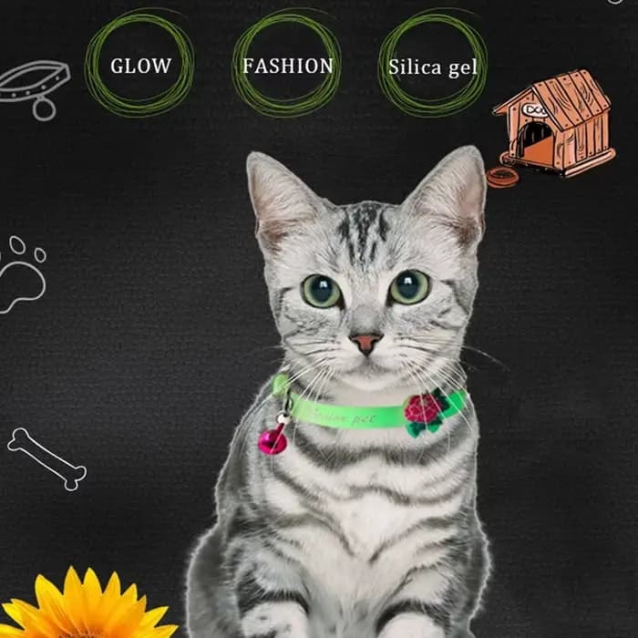 Collier Lumineux pour Chat