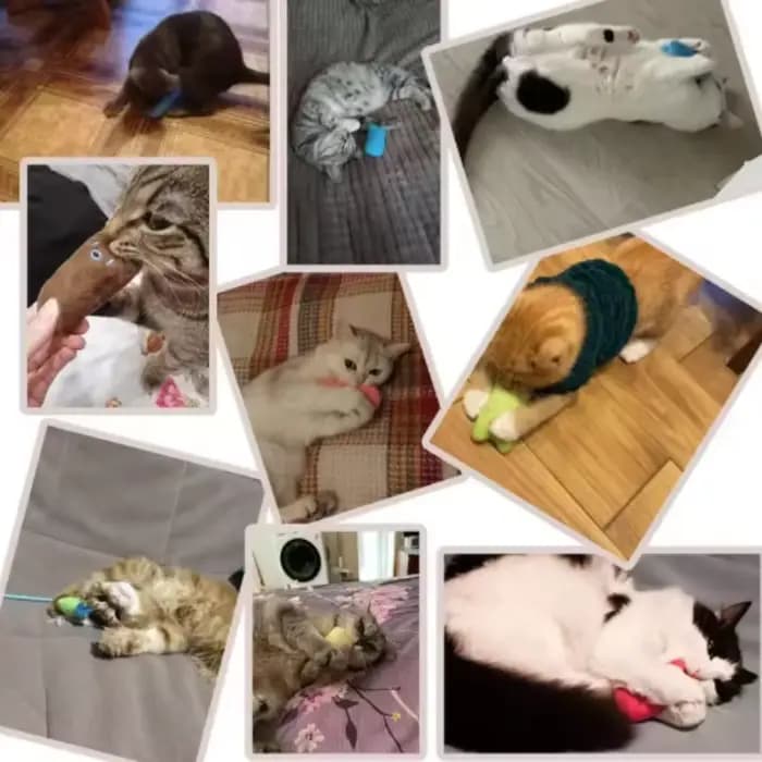 Jouets pour attraper des dents