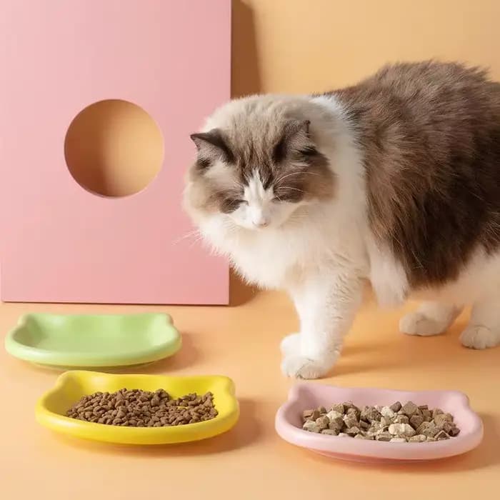 1 bol pour animaux de compagnie en forme de chat, couleur pastel, design animal mignon, antidérapant, idéal pour les chats, accessoire tendance pour la maison
