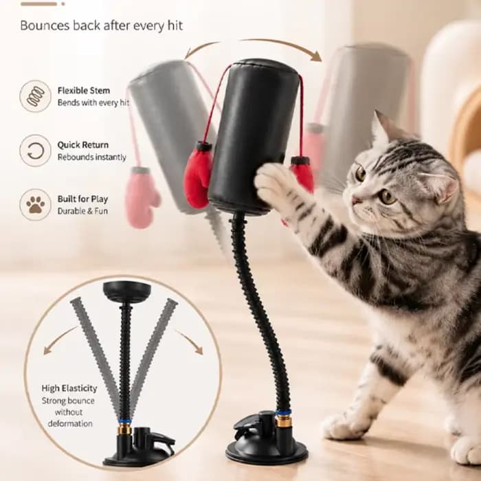 Jouet interactif de boxe pour chat