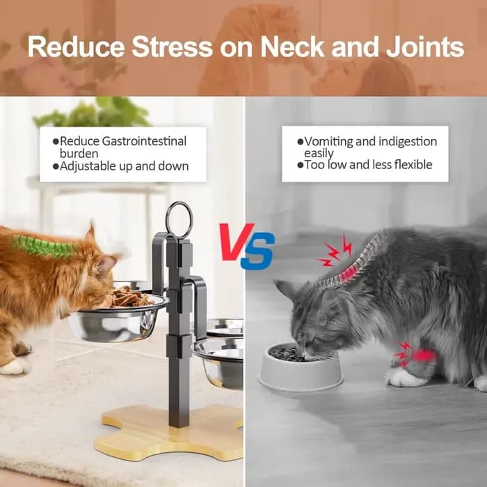 Ensemble d'alimentation et de boissons à hauteur réglable pour chiens et chats