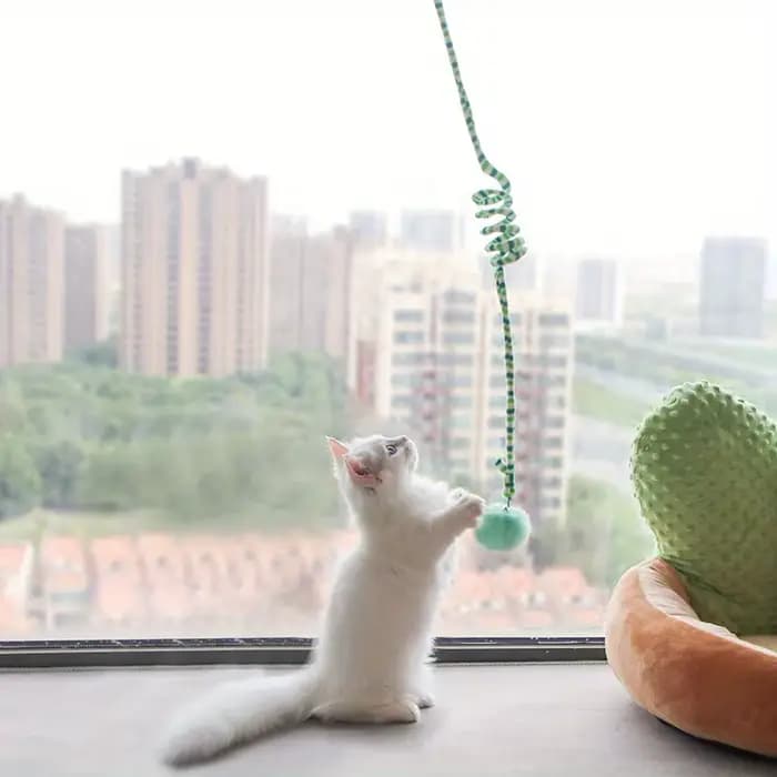Chat interactif suspendu Simulation