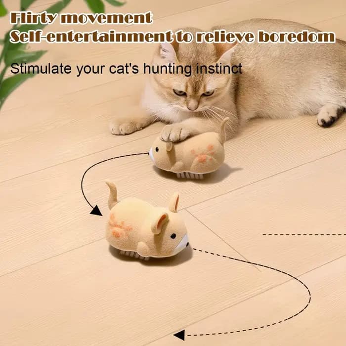 Jouets interactifs pour chats d'intérieur