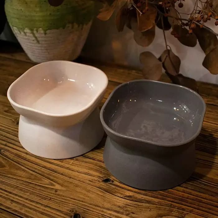 Gamelle d'eau pour chat inclinée et surélevée