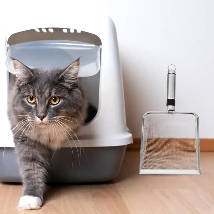 Pelle à litière pour chat en acier inoxydable