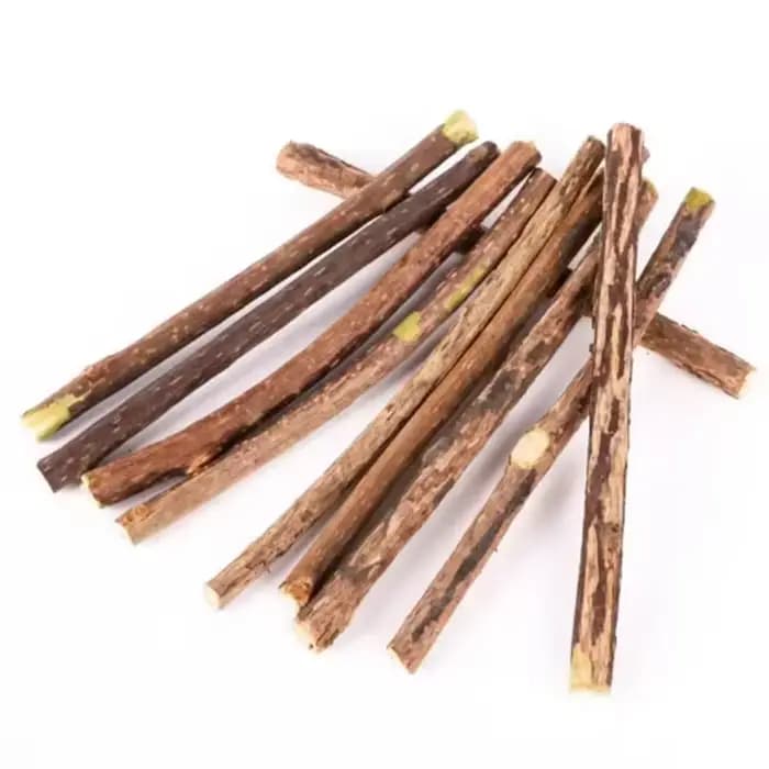 Silvervine bâtons pour chats naturel chat
