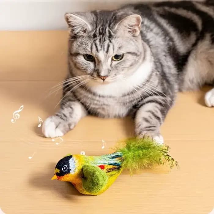 Jouet interactif d'intérieur pour chat