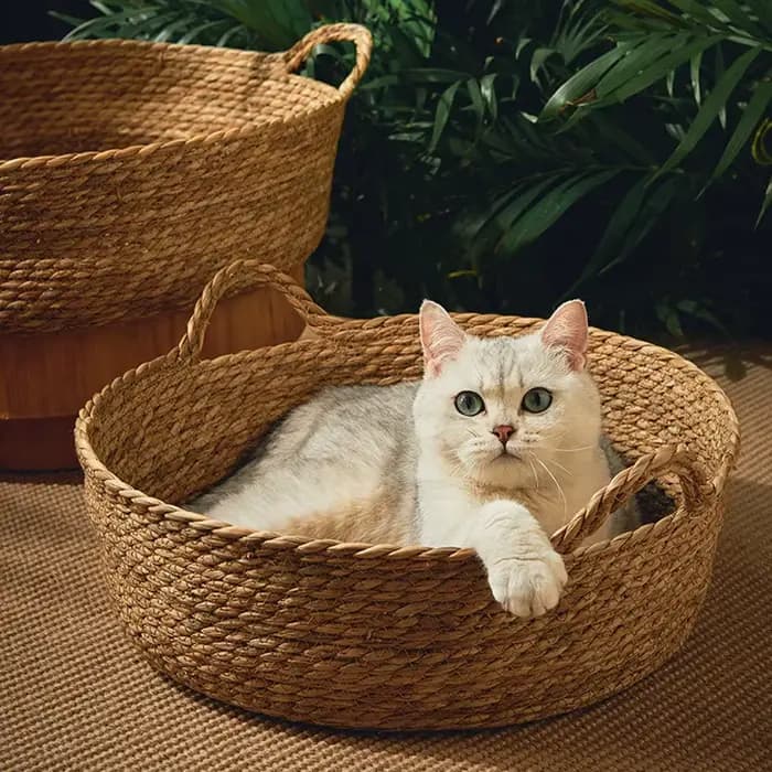 Panier en rotin tressé pour chat