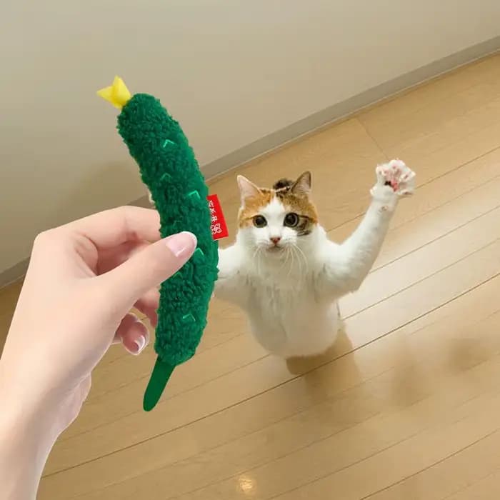 Jouet en peluche d'herbe à chat