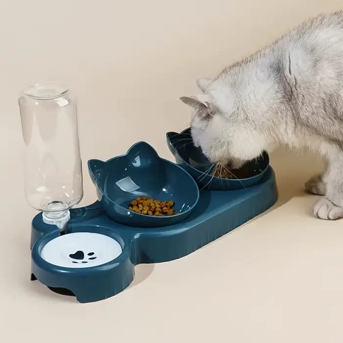 [Choix populaire] bol pour chat incliné antidérapant avec distributeur d'eau automatique
