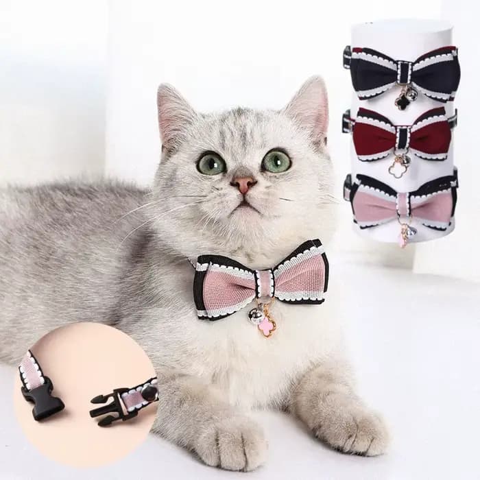 Collier pour chat mignon