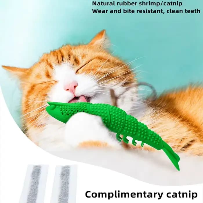 Jouets pour chat, brosse à dents