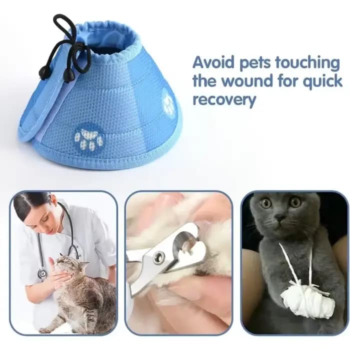 Collier conique réglable pour chat