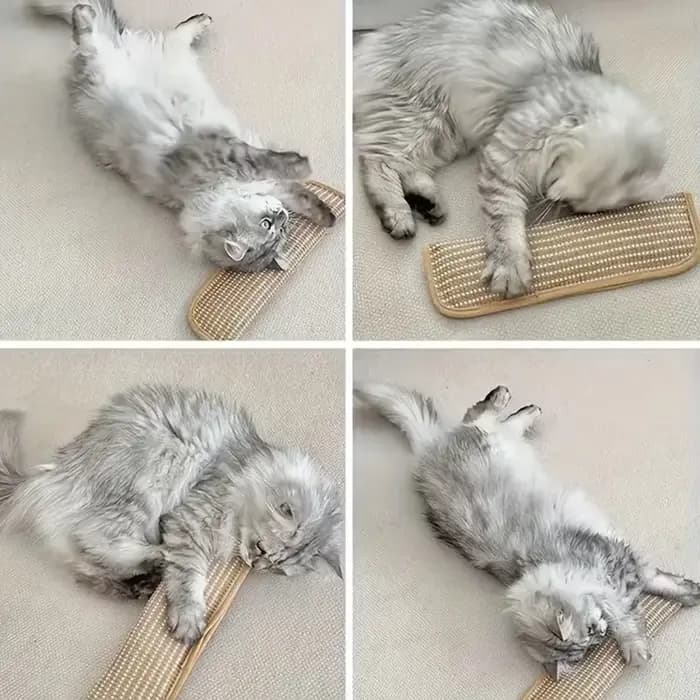 Coussin de jeu et griffoir pour chat pour le jeu individuel et l'interaction intime, pour garder votre ami félin heureux et apaisé
