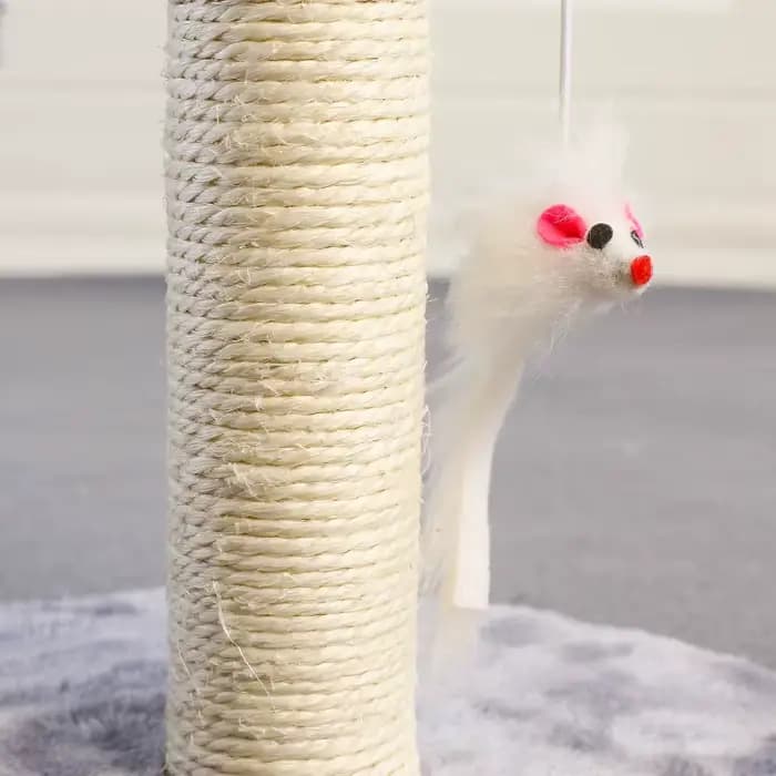 Tour d'arbre à chat, poteau à gratter