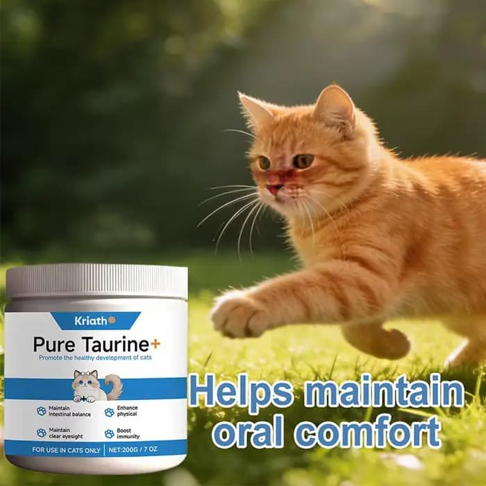 Poudre de taurine pour chats