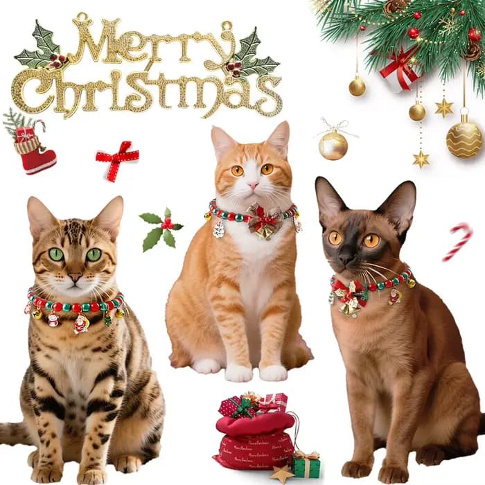 Collier cloche de noël multicolore pour chat