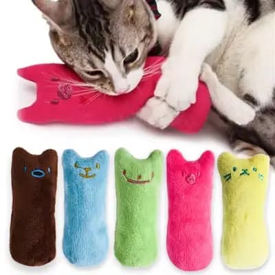Jouets pour attraper des dents