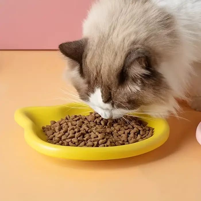 Gamelle peu profonde anti-encrassement pour chat