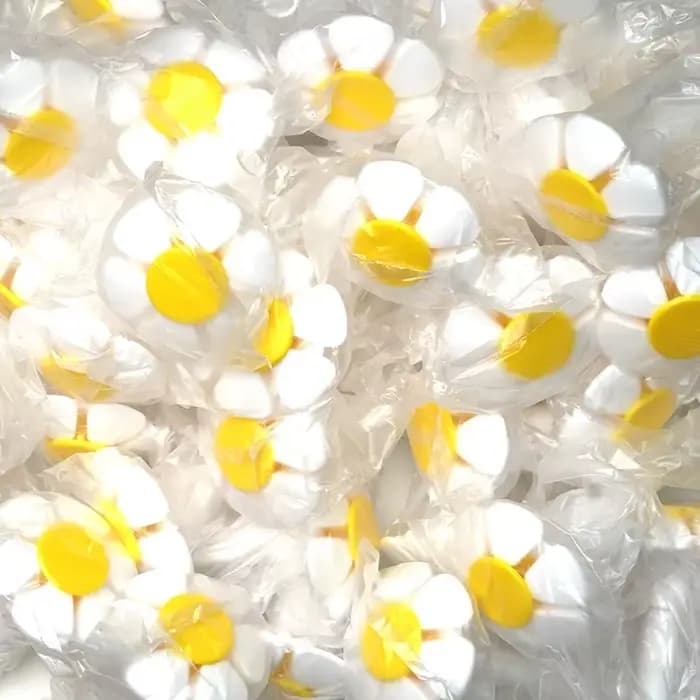Distributeur d'eau pour animaux de compagnie
