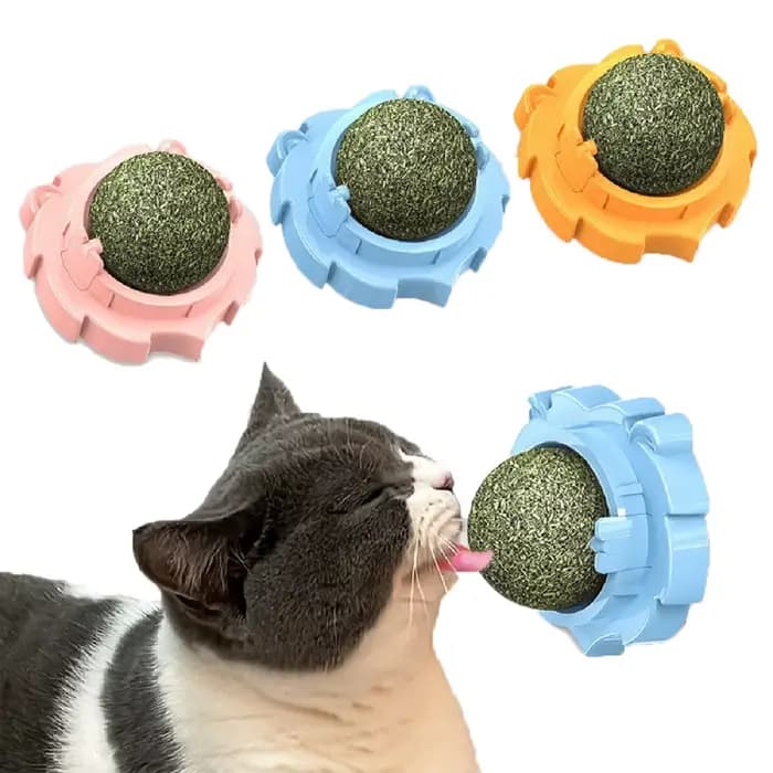 Boules d'herbe à chat naturelles