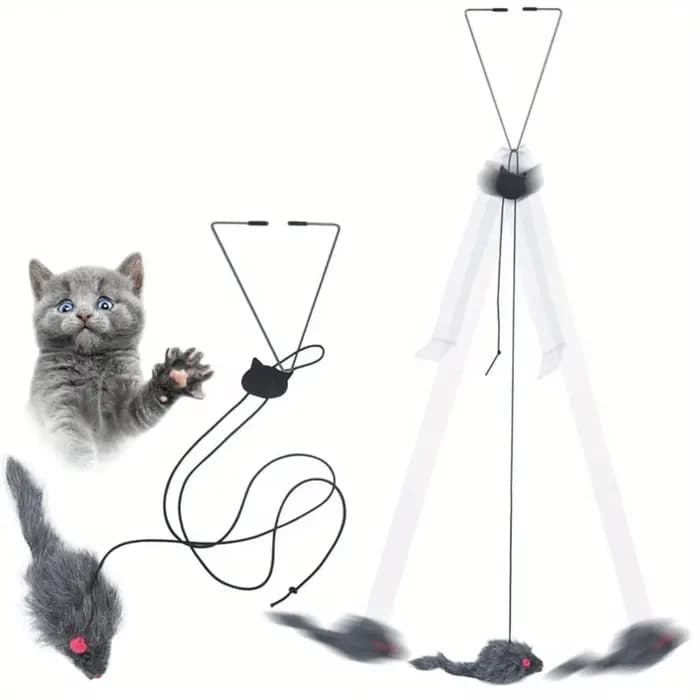 Jouet de Face de Porte pour Chat