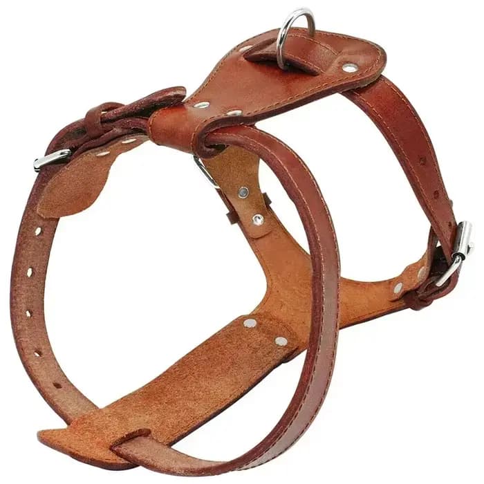 Harnais en cuir véritable pour chien et chat