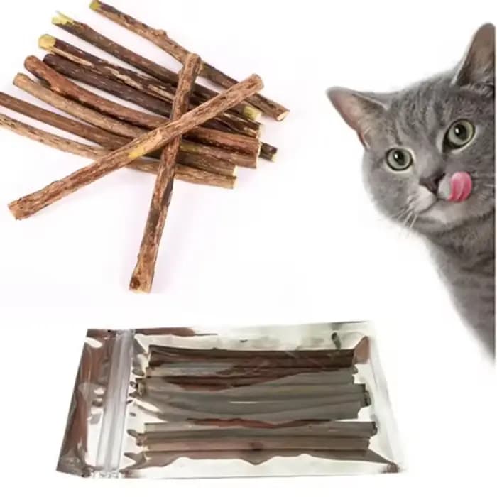 Silvervine bâtons pour chats naturel chat