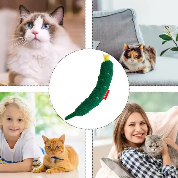 Jouet en peluche d'herbe à chat