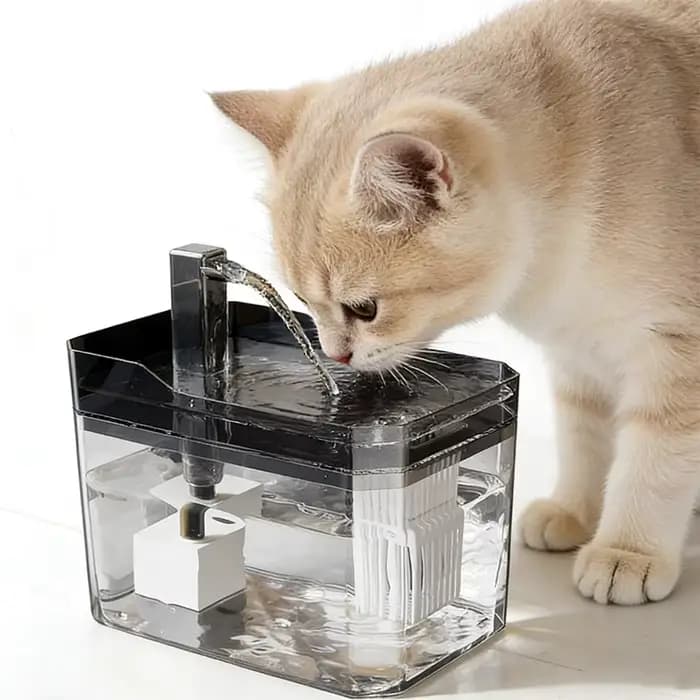Fontaine d'eau pour chat 1