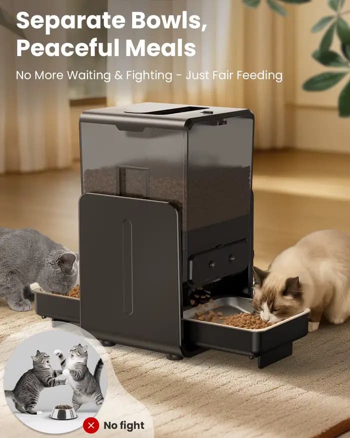 Distributeur automatique de croquettes pour chat