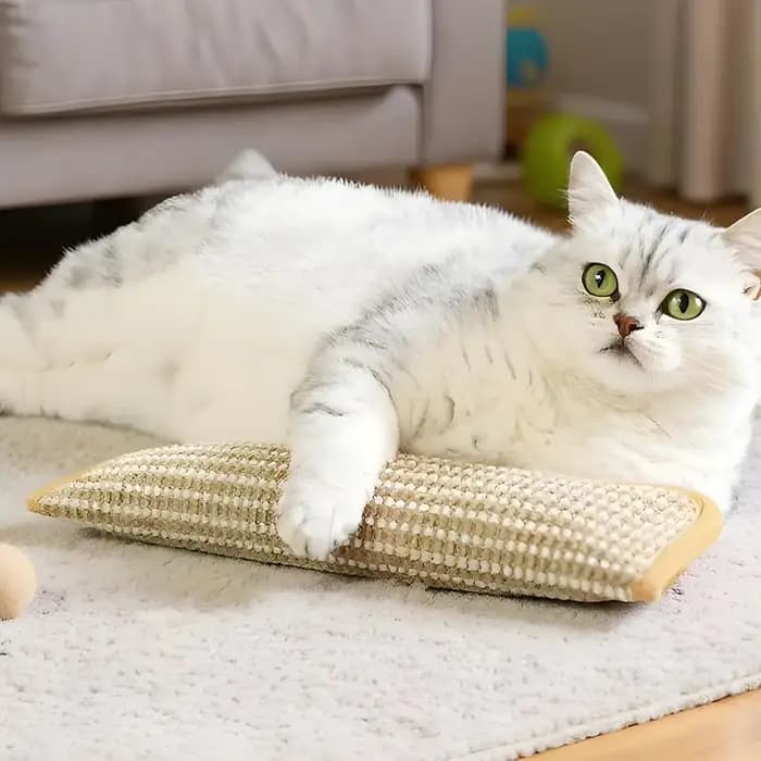 Jouets interactifs à gratter pour chat